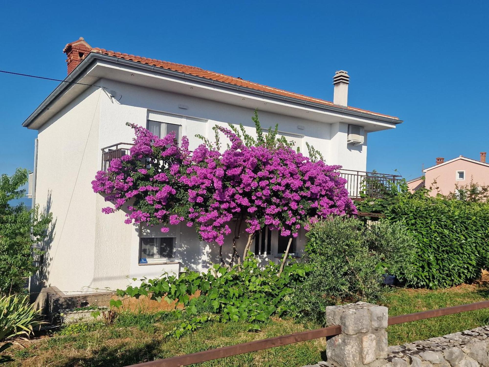 Apartment Sostaric Vrh  Buitenkant foto